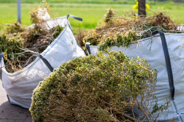 Best Office Junk Removal  in Center Line, MI